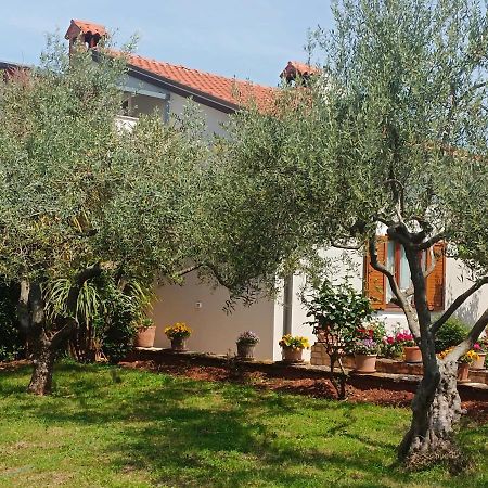 Apartment Analaura Umag Zewnętrze zdjęcie